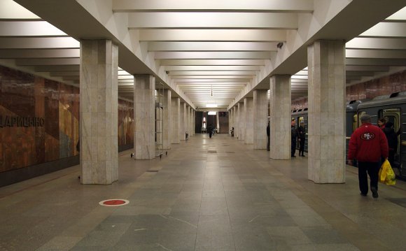Станция Метро Царицыно
