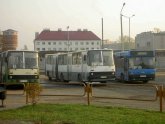 Расписание Автобусов Рошаль Москва
