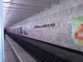 Станция Метро Домодедовская
